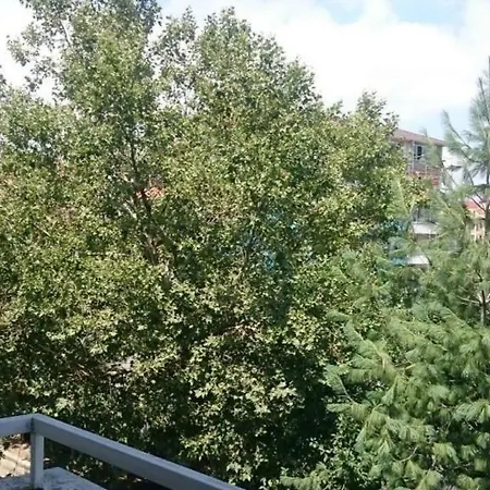 Vacation 1 Appartement *